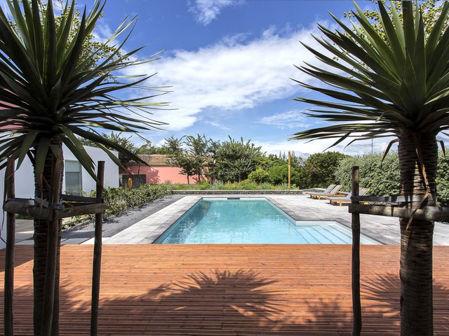 Quinta dos Peixes Falantes: exterior view of the pool with lounge chairs bookended by two large palm trees